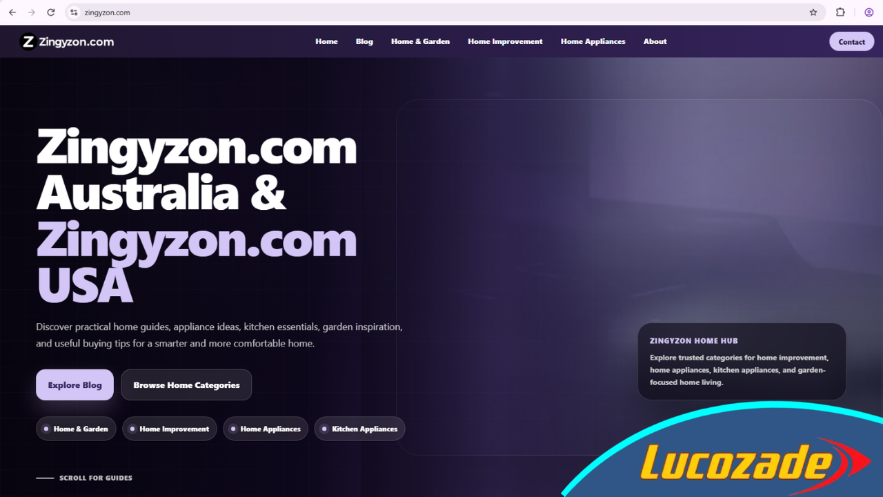 Zingyzon.com